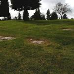 Jane Doe Original Burial Site "Cypress Lawn Cemetery"